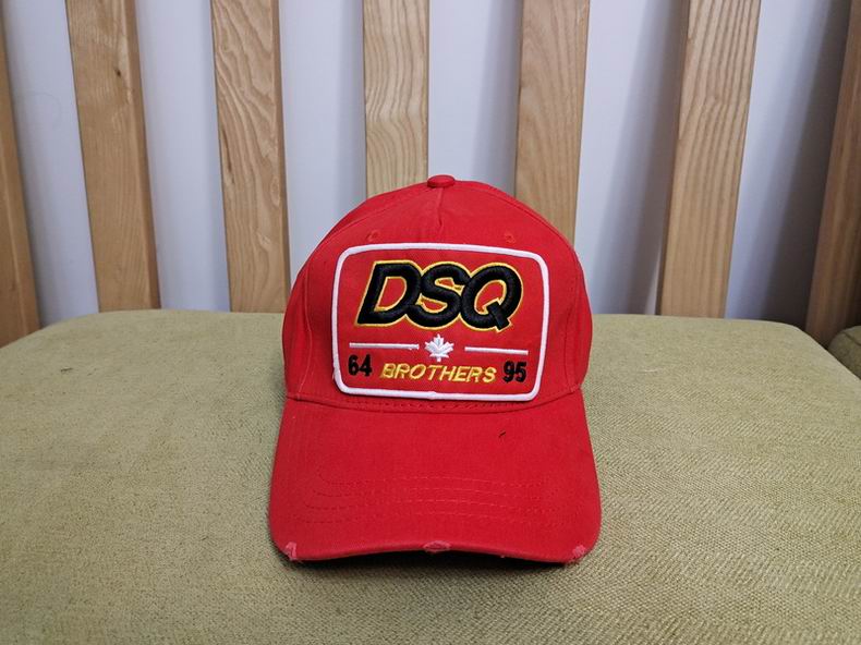 DSQ Cap 13